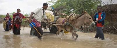 People and a donkey cart navigate through floodwater, carrying belongings. Trees and houses partially submerged in the background.