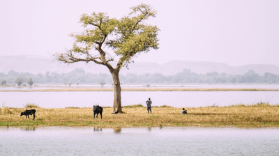 State of the Climate in Africa 2021